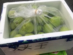 -西郊国际农产品交易中心
