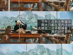 -武汉动物园