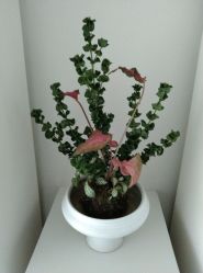 -颜蕾医美·黄金微针·水光·玻尿酸·超声炮·抗衰中心