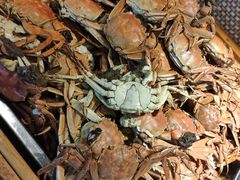 -欢乐牧场海鲜烤肉自助(牡丹园店)