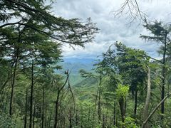 -莫干山风景区