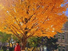 -辽宁大学(崇山校区)