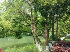 -杭州花家山庄