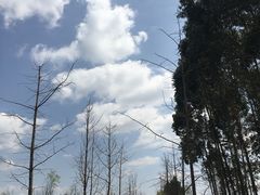 -白鹭湾湿地公园