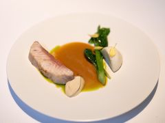 鲟鱼-Bleston Court Yukawatan