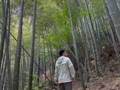 -莫干山风景区