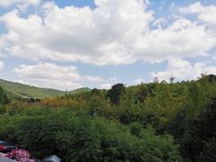 景观位-旺山·浪头人家