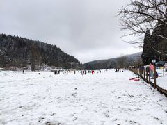 -武陵山森林公园