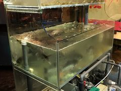 -风味小吃(浦东南路2368)