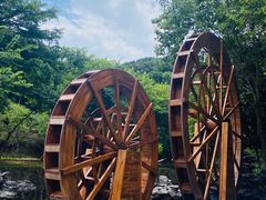 -广州白江湖森林公园