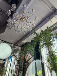 点击看大图 -MaisonFL·美颂法式专业美发艺术沙龙