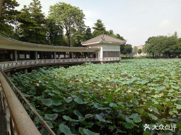 荔灣湖公園景點圖片 - 第251張