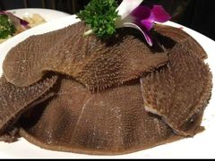 -齐祺鱼锅.清真(兰考店)
