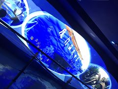 -厦门海底世界