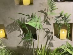 -施奈儿.洗头頭療.按摩SPA.采耳(上梅林店)