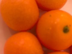 -金茂君悦·食在56海鲜自助餐厅ON56