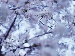 -西北湖绿化广场