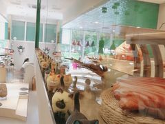 -飞行喵MR PILOT|猫舍·猫咖(静安大融城店)
