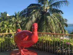 -日落吧·海景咖啡厅·餐酒吧·鸡尾酒·下午茶·乐队表演·浪漫夕阳·三亚文华东方酒店