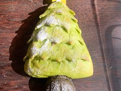 奈雪蜜瓜许愿树-奈雪的茶(大梅沙8号仓店)