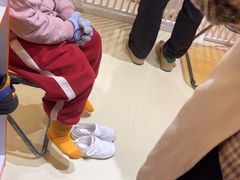 -三花喵·撸猫购宠·宠物生活馆(虹桥南丰城店)