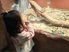 -上海大自然野生昆虫馆(东方明珠·爬宠昆虫探索中心)