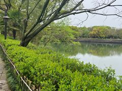 -西溪国家湿地公园