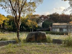 -上海山野camping·户外天幕烧烤·团建拓展营地
