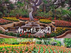 -南山植物园