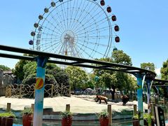 -常州淹城野生动物世界