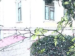 -八大关景区