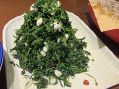 -蓝田印象