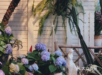 深圳｜盼暖春来 你有一份花市攻略待查收
