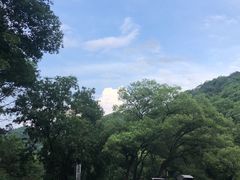 -天怡·鱼工厂(梅溪湖店)