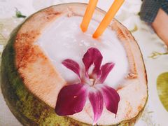 -Jungle Kitchen