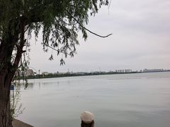 -阳澄湖半岛旅游度假区