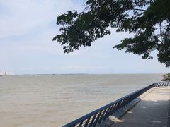 -大湾区中央湿地公园