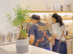 -香草山咖啡店·外教英语角·自习室(盛世商都店)