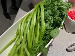 茼蒿-海底捞火锅(北京路店)