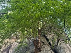 -桂林独秀峰王城景区