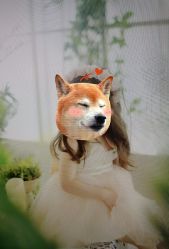 -尤尼可国际影像(万源分店)