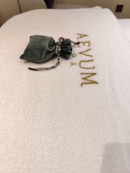 -奥斯芬·欧系贵族SPA