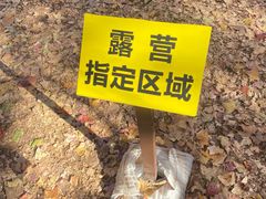 -昆明植物园