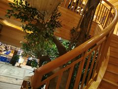 -阿斯牛牛·凉山菜(新会展店)