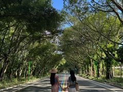 -东南花都花博园