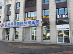 -欧奕国际动物医院