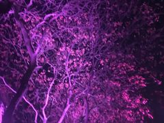 -金逸影城(中关村店)