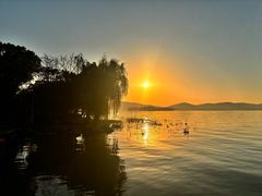 -长广溪湿地公园
