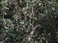 -国生茶庄·地道农家菜团建活动