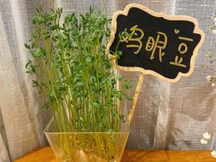 -饵块食光·云南有机手作饵块